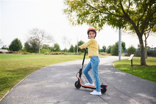 Trotinete Elétrica Segway Ninebot KickScooter C2E Cheap