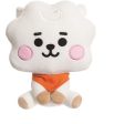 Peluche BT21 RJ Baby 20cm - Aurora World Fashion