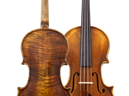 Maple Leaf Strings - Chaconne Full Size Violin (MLS500VN4 4) Cheap