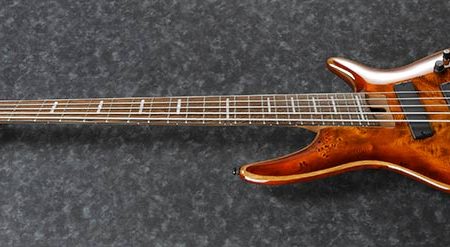 Ibanez Multi Scale SRMS805 5-String Electric Bass Brown - Topaz Burst Sale