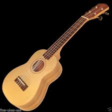 Teton TC50W Concert Solid Cedar Top Ukulele Figured Willow wood Back & Sides Supply