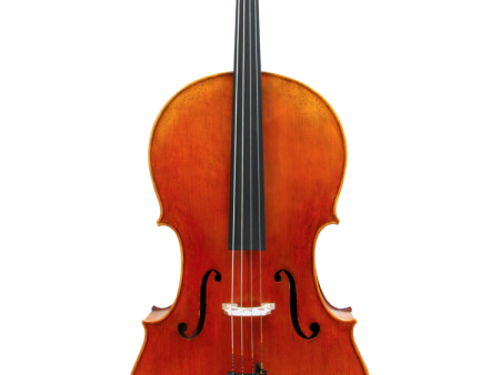 Maple Leaf Strings - Ruby Decorated Maggini Full Size Cello (MLS510C-DMG 4 4) Sale