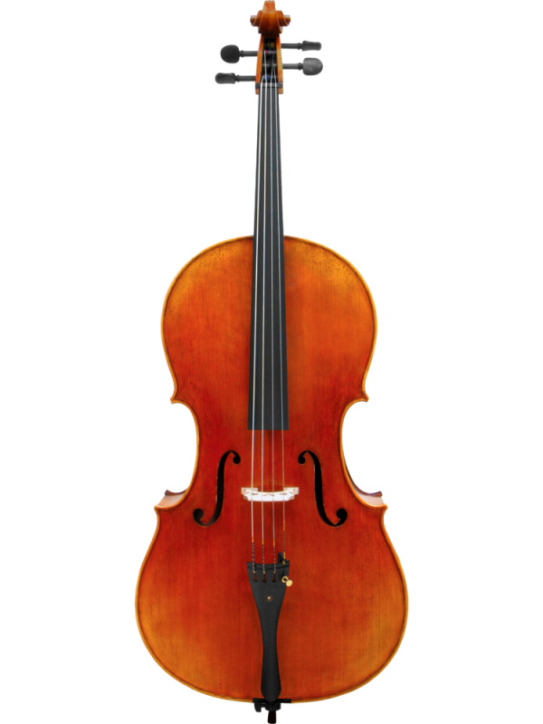 Maple Leaf Strings - Ruby Decorated Maggini Full Size Cello (MLS510C-DMG 4 4) Sale