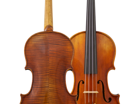 Maple Leaf Strings - Lady Claire Full Size Violin (MLS1350VN4 4) Online now