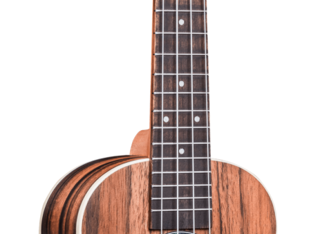 Penguin Concert Ebony Ukulele 990C Supply