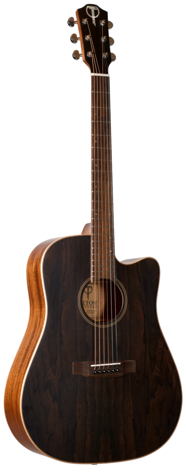 Teton STS000ZISCE Acoustic Guitar Online