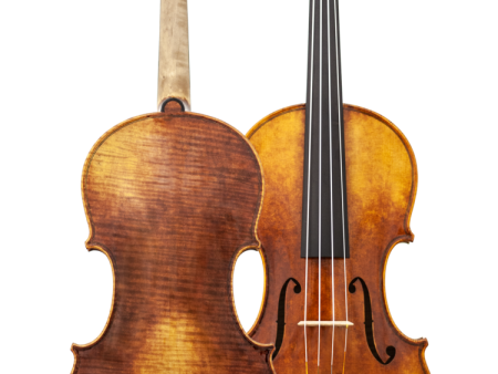 Maple Leaf Strings - Cremonese Full Size Violin (MLS520VN4 4) Online now