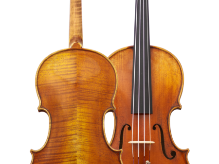 Maple Leaf Strings - Lord Wilton Full Size Violin MLS505VN4 4-D For Sale