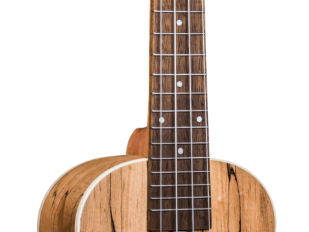 Penguin Concert Spalted Maple Ukulele 770C on Sale