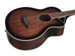 Ibanez AEB10E Acoustic-Electric Bass - Natural High Gloss Online