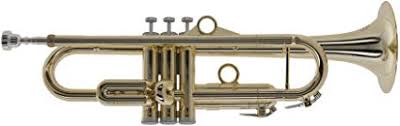 pInstruments Trumpet - Standard (PTRUMPET1HTG GOLD) For Discount